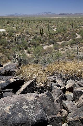 119 Saguaro National Park.jpg